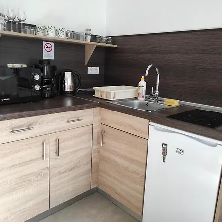 Balogh Vendeghaz Apartment