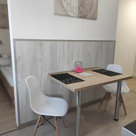 Apartment Balogh Vendeghaz Sarospatak