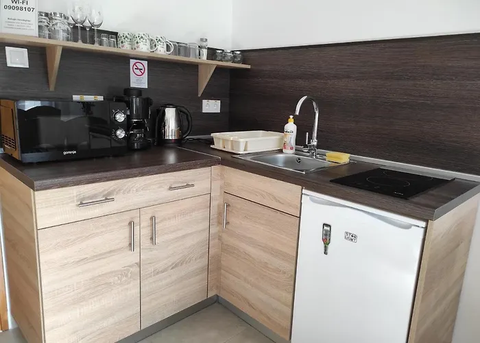Balogh Vendeghaz Apartament