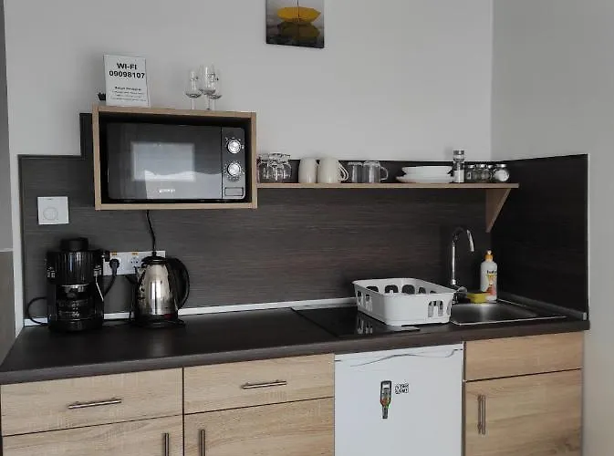 Balogh Vendeghaz Apartament Sárospatak