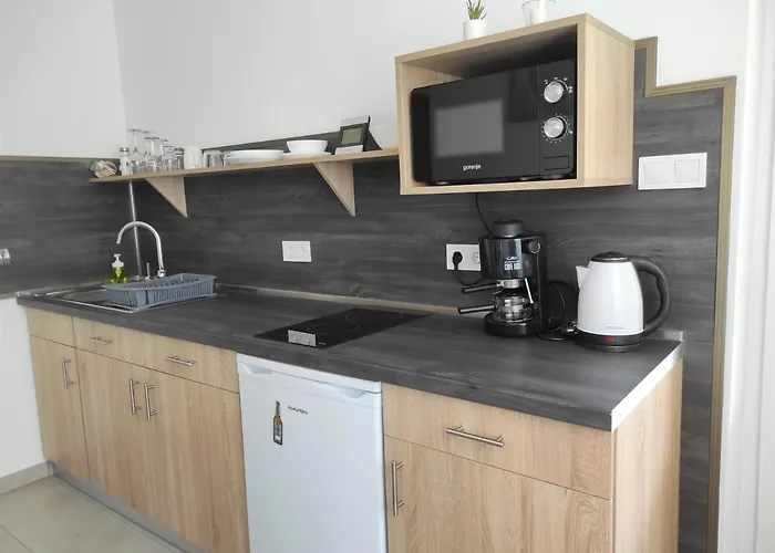 Balogh Vendeghaz Apartament
